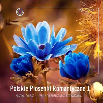 Polskie Piosenki Romantyczne 01 – RADIO HIT